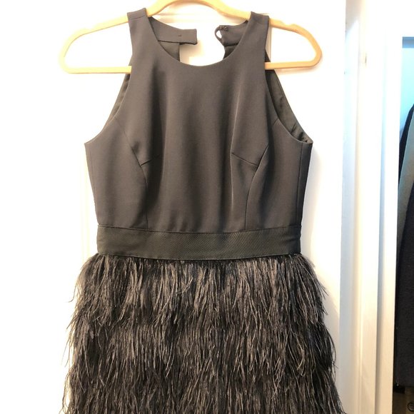 milly blair feather dress